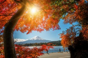 Packing List for Japan in Fall: September, October, November